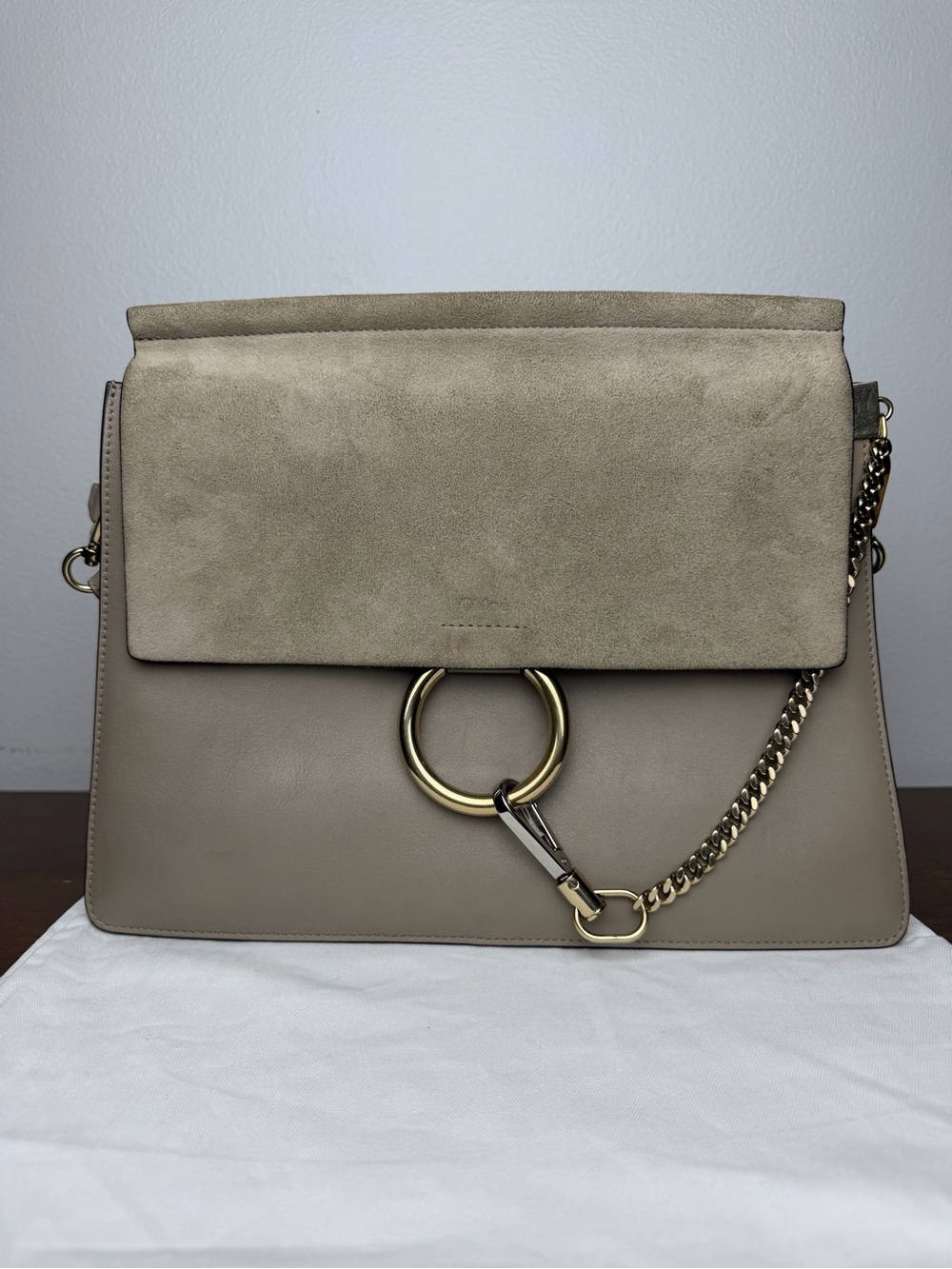 Chloe Shoulder Bag in Taupe with Gold Hardware
